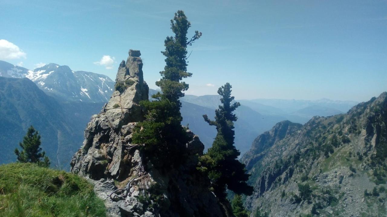 Gite Au Printemps Japonais, Petit Train De La Mure, Parc Des Ecrins Pierre-Chatel المظهر الخارجي الصورة